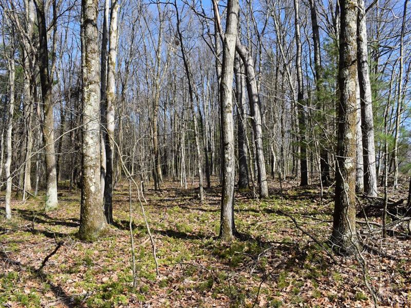 Paradise on President : Venus : Venango County : Pennsylvania