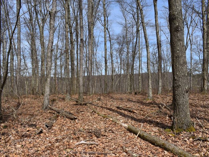 Oak Hill Oasis : Franklin : Venango County : Pennsylvania