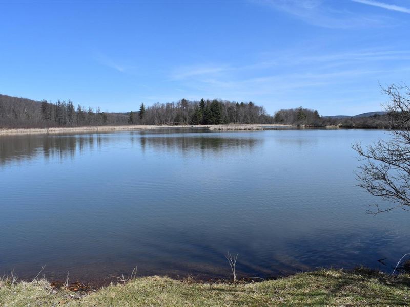 Waterfowler's Paradise : Cuba : Allegany County : New York