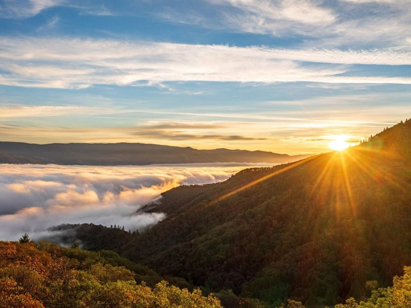 Madrone Ridge Ranch & Development : Ashland : Jackson County : Oregon