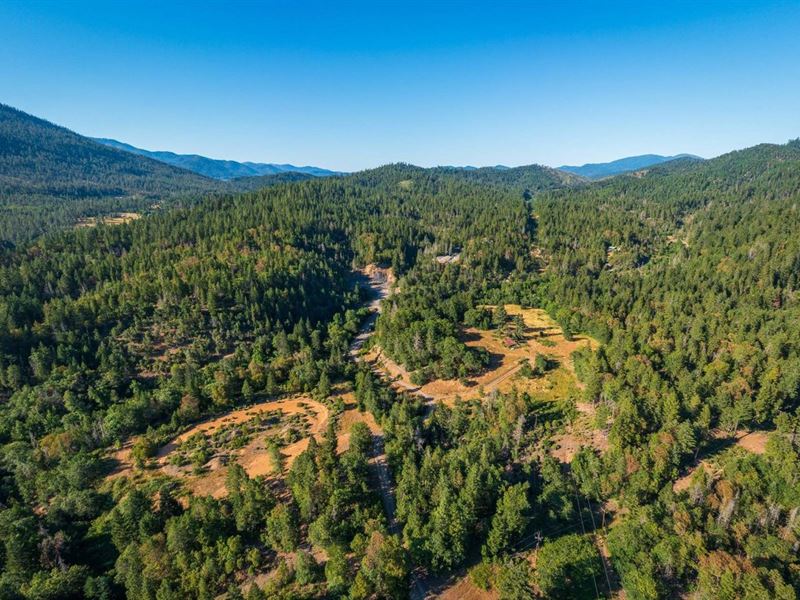 Sauer's Quarry & Forestland : Kerby : Josephine County : Oregon