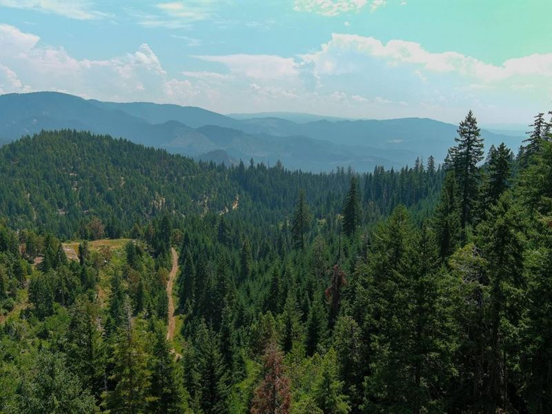 Elk Creek 474 Acres : Trail : Jackson County : Oregon