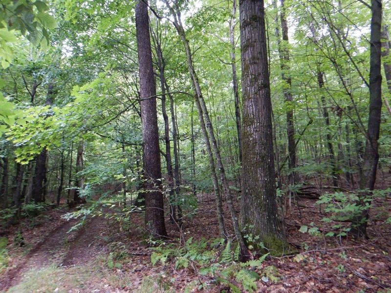 Squires Road Sanctuary : Norwich : Chenango County : New York