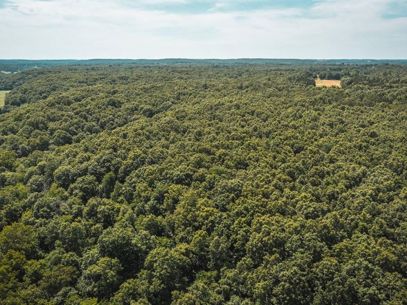 Whitetail Point : Richland : Camden County : Missouri