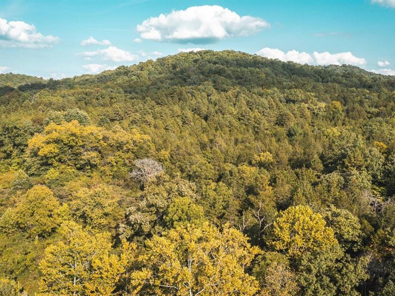 Big Branch 128 : Eminence : Shannon County : Missouri