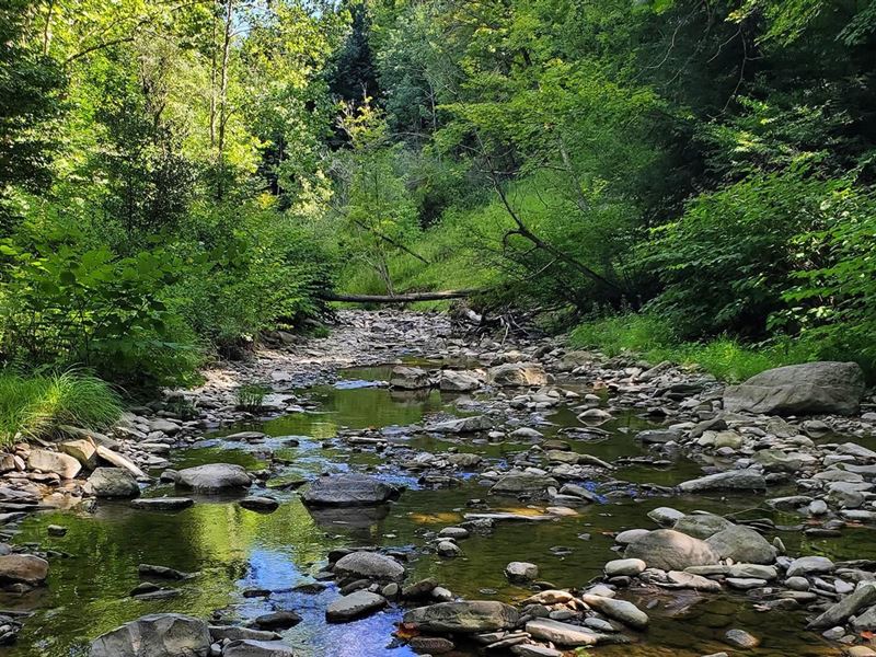 Hunt Hollow Hideaway : Hunt : Livingston County : New York