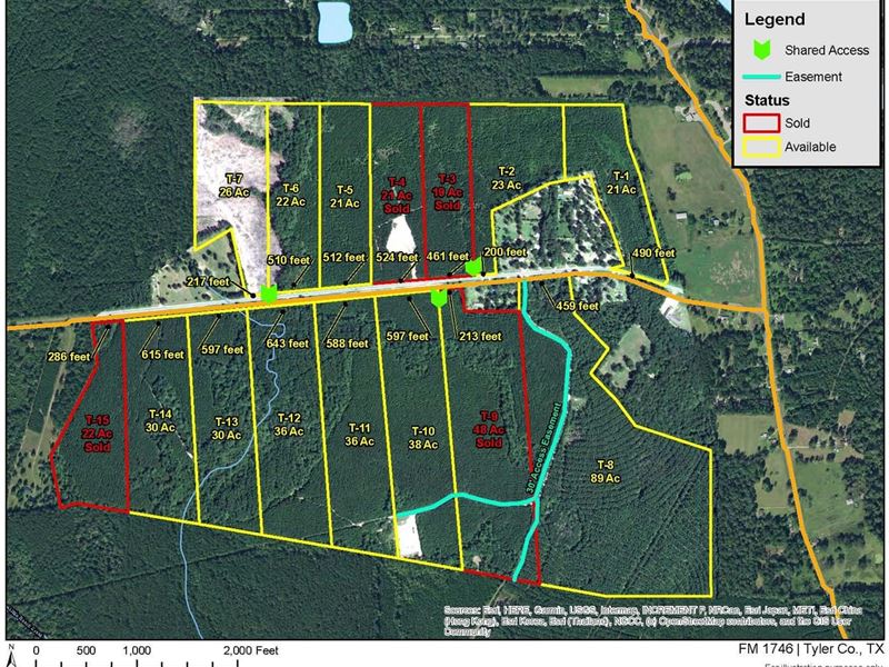 26 Acres, T-7 FM 1746 : Spurger : Tyler County : Texas