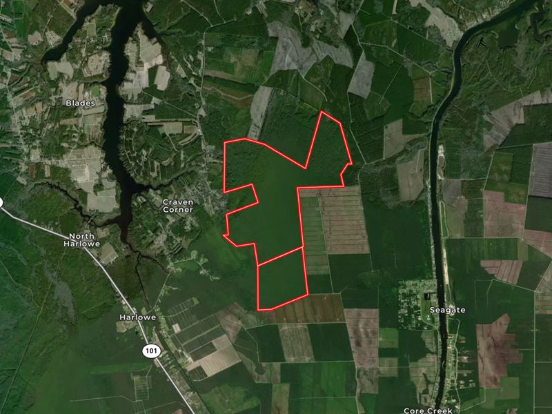 1,287 Acres of Recreational Lan : Havelock : Carteret County : North Carolina