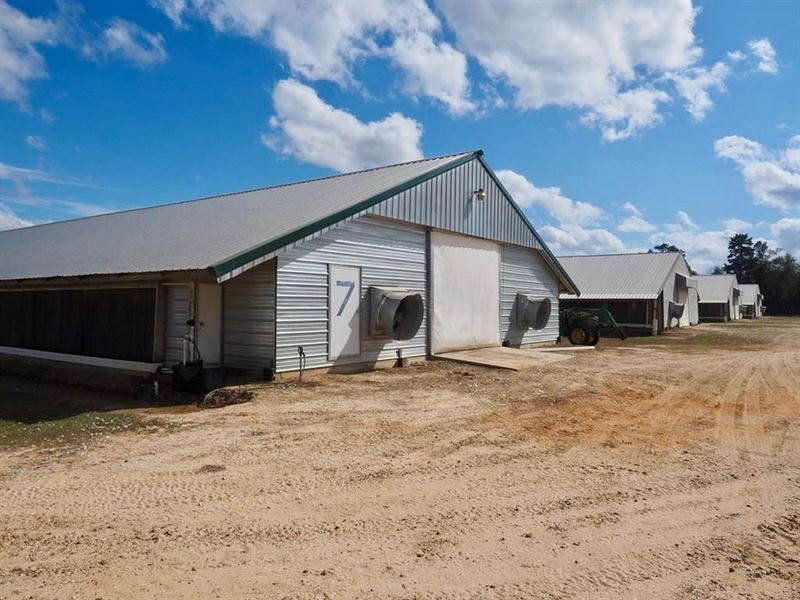 Poultry 8 House Broiler Farm 70 Acr : Petal : Perry County : Mississippi