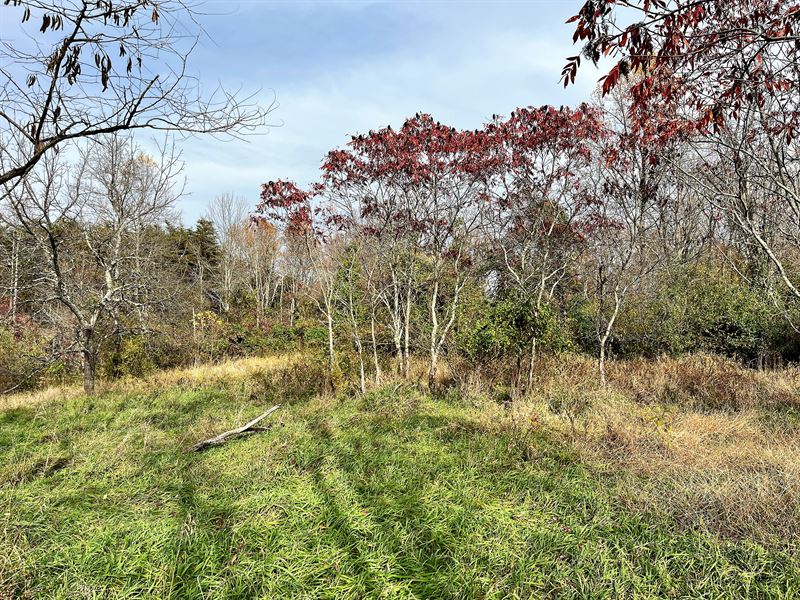 Hocking Hills Acreage for Sale, Ranch for Sale in Ohio, 336262 RANCHFLIP