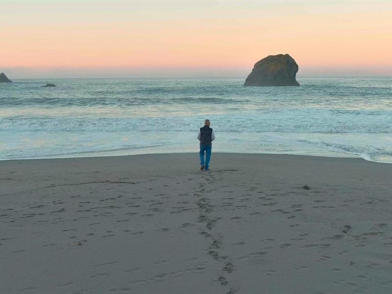 Breathtaking Oceanfront Home : Brookings : Curry County : Oregon