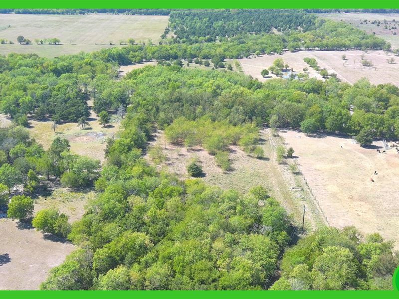 20 Acres in Hunt County, TX, Ranch for Sale by Owner in Texas, 336341