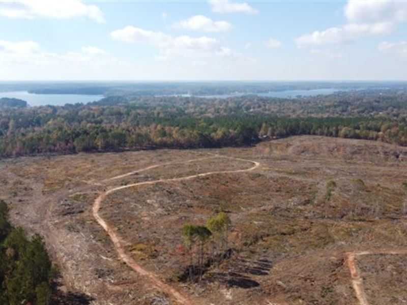 Development Potential : Cross Hill : Laurens County : South Carolina