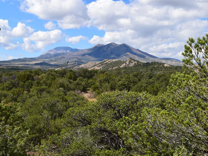 Large Acreage with Spectacular View : La Veta : Huerfano County : Colorado