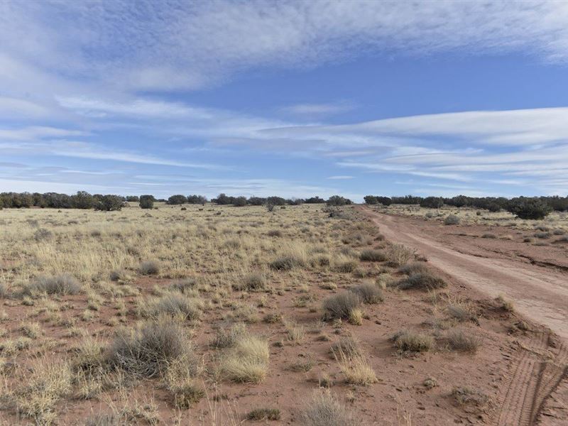 Woodridge Ranch, AZ Ranch : Concho : Apache County : Arizona