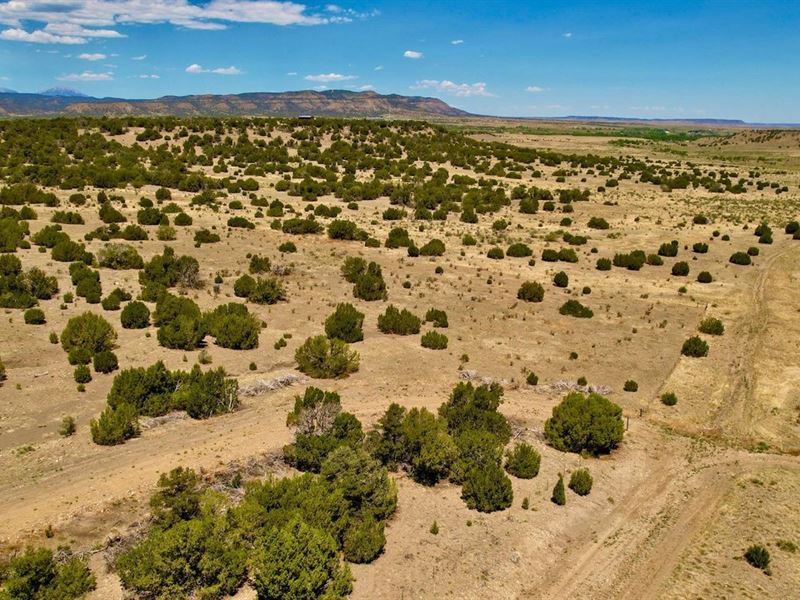Kickin' Kunzite Road Acreage : Trinidad : Las Animas County : Colorado
