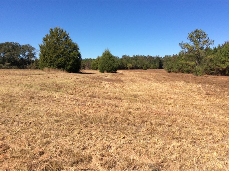 Wesley Chapel Rd Tract : Georgiana : Butler County : Alabama