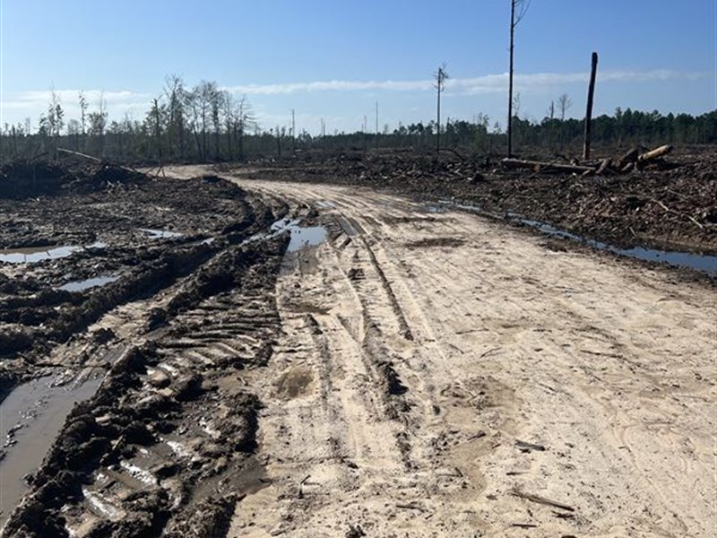 Home Place or Development Potential : Dequincy : Beauregard Parish : Louisiana