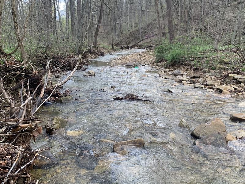 Bordering Pike Lake State Park : Bainbridge : Pike County : Ohio