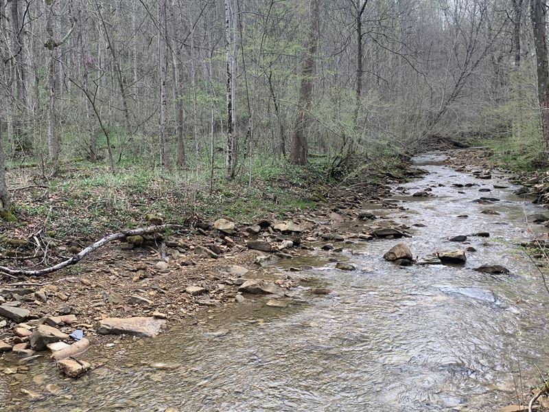 Bordering Pike Lake State Park : Bainbridge : Pike County : Ohio
