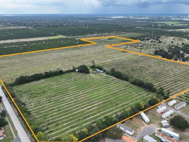 Lewis Griffin Road, 55 Acres : Lake Wales : Polk County : Florida