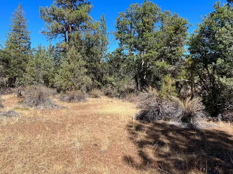 39 Acres in Lassen County, CA, Ranch for Sale by Owner in California