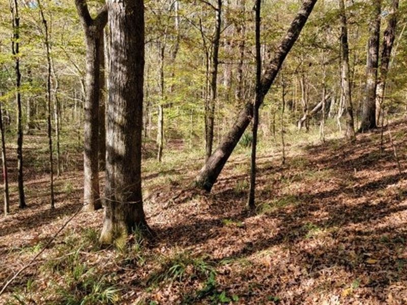 55 Acres in Adams County in Natchez : Natchez : Adams County : Mississippi
