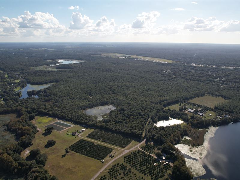 Inverness Waterfront Acreage : Inverness : Citrus County : Florida