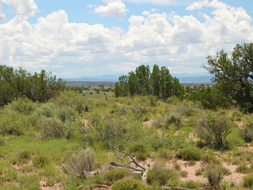 Arizona Ranches for Sale : Buy Ranches for Sale, Find Ranchettes ...