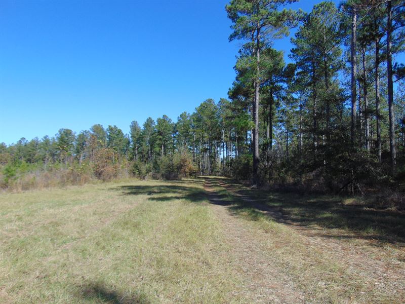 Pine Ridge Legacy Tract : Gray : Jones County : Georgia