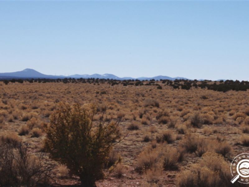 41.3 Acres in Coconino County, AZ : Williams : Coconino County : Arizona