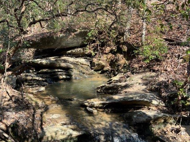 Cedar Creek : Gainsville : Hall County : Georgia
