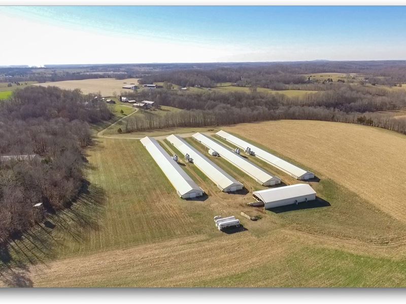 Rocky Top Poultry & Cropland : Campbellsville : Taylor County : Kentucky