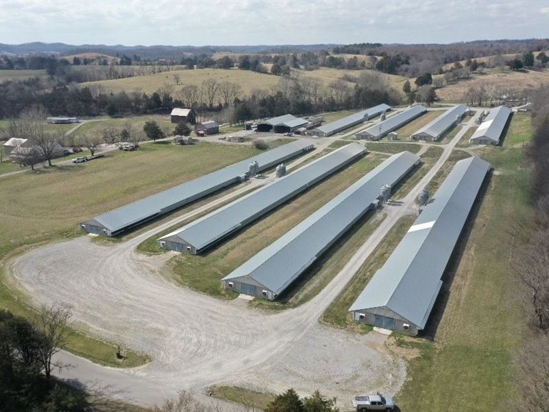 Price Reduced, Circle G Farm : Burkesville : Cumberland County : Kentucky