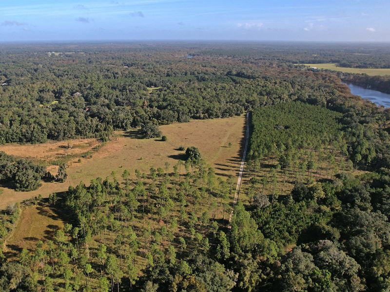 Withlacoochee River Ranch : Floral City : Citrus County : Florida