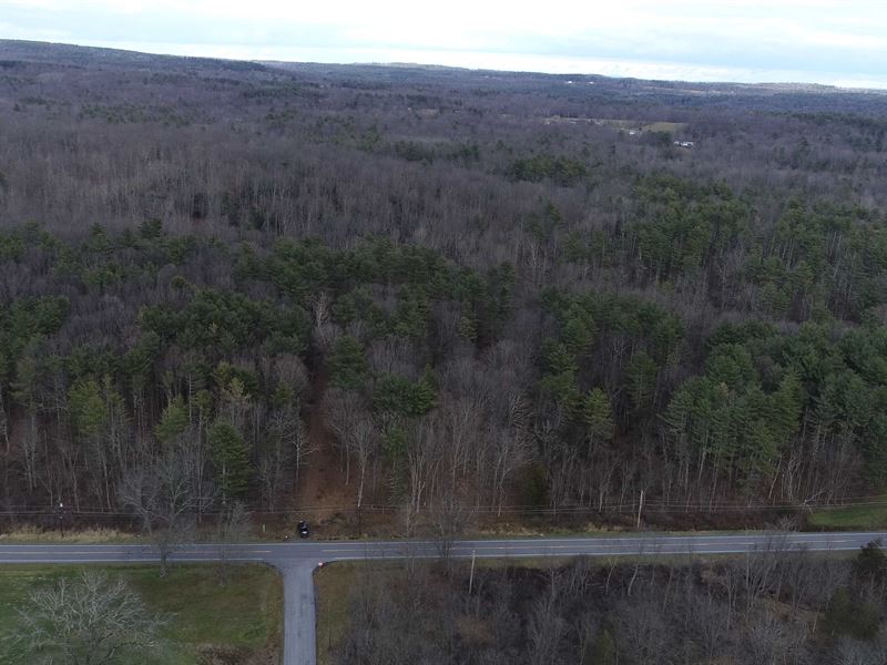 Large Acreage, Wooded, Options : Cairo : Onondaga County : New York