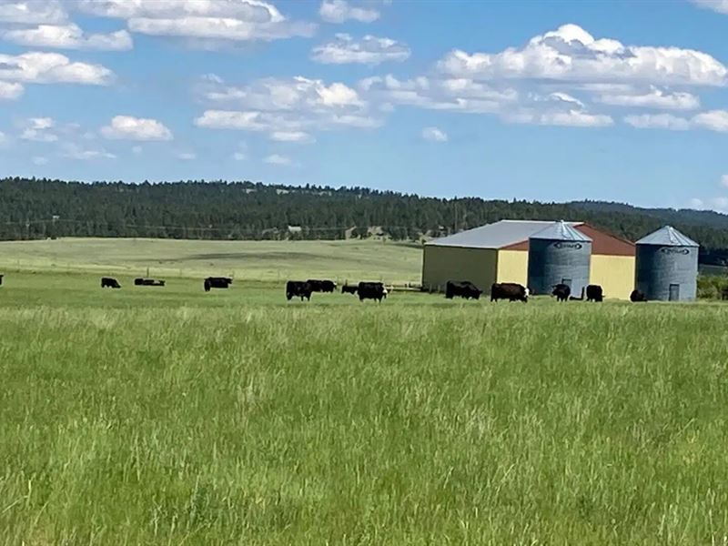 Hoyt Ranch Home Parcel, Ranch for Sale in Montana, 338258 RANCHFLIP