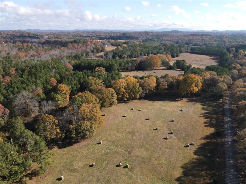 60 Acres in Lincoln, AL : Lincoln : Talladega County : Alabama