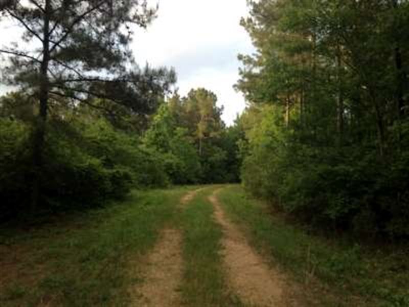 Bismark, Lawrence County : Jayess : Lawrence County : Mississippi
