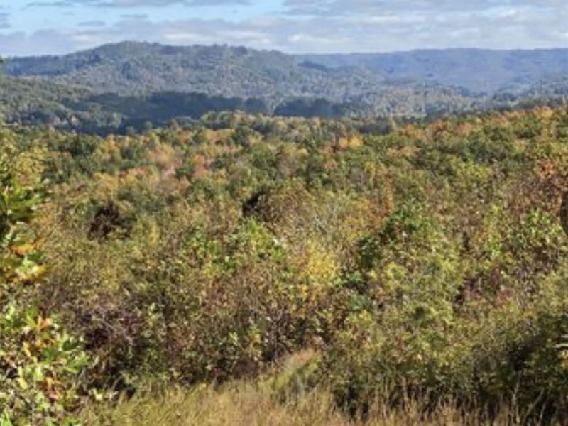 Vistas, Creeks, River, Trails : Coeburn : Wise County : Virginia