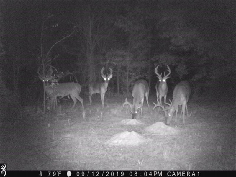 La, West Carroll 120 Acres : New Hope : West Carroll Parish : Louisiana