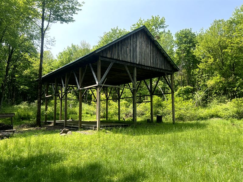 Stone Hill Cabin Lot : Williamstown : Oswego County : New York