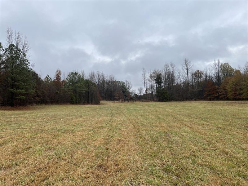 35 Acres, Pasture, Woods, Clay : Rector : Clay County : Arkansas