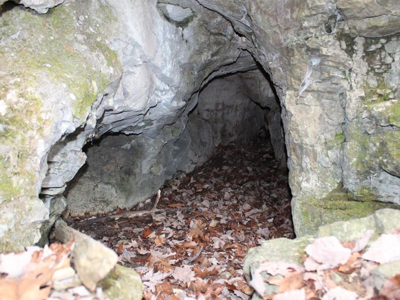 Secluded Hunting Property : Yellville : Marion County : Arkansas