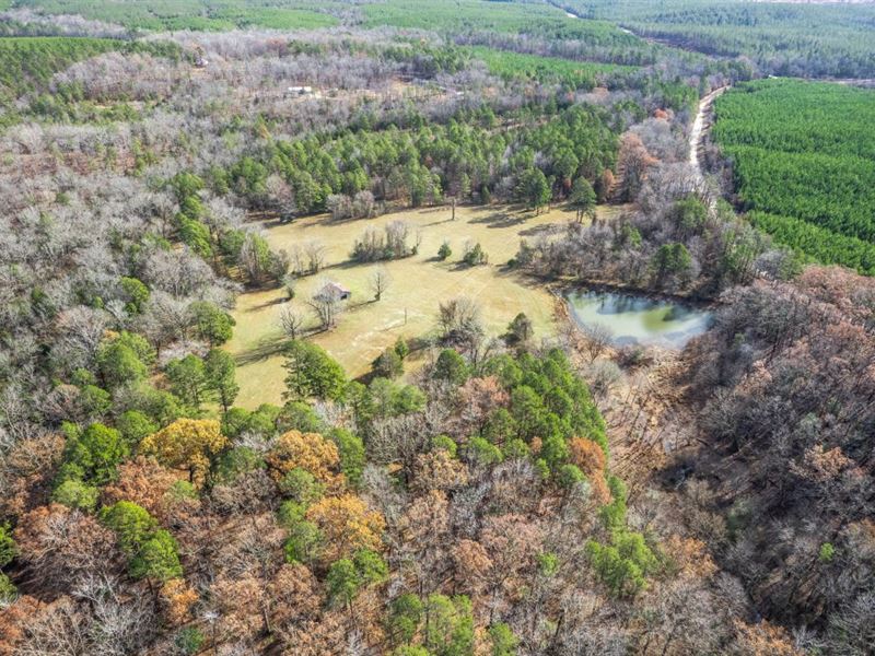30 Acres in Paron, Arkansas : Paron : Saline County : Arkansas