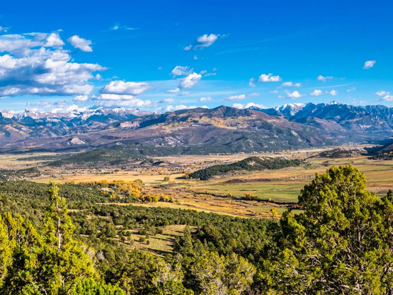 Ranch, Mountain Views by Blm Land : Ridgway : Ouray County : Colorado