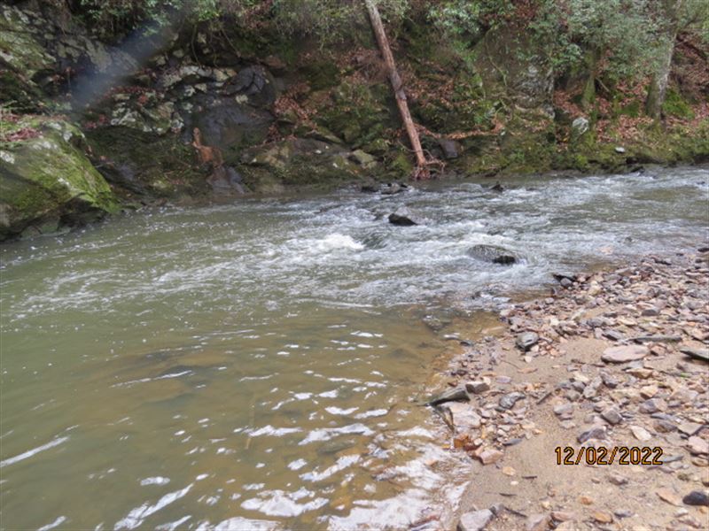 Recreation Timberland Near Lay Lake : Clanton : Chilton County : Alabama