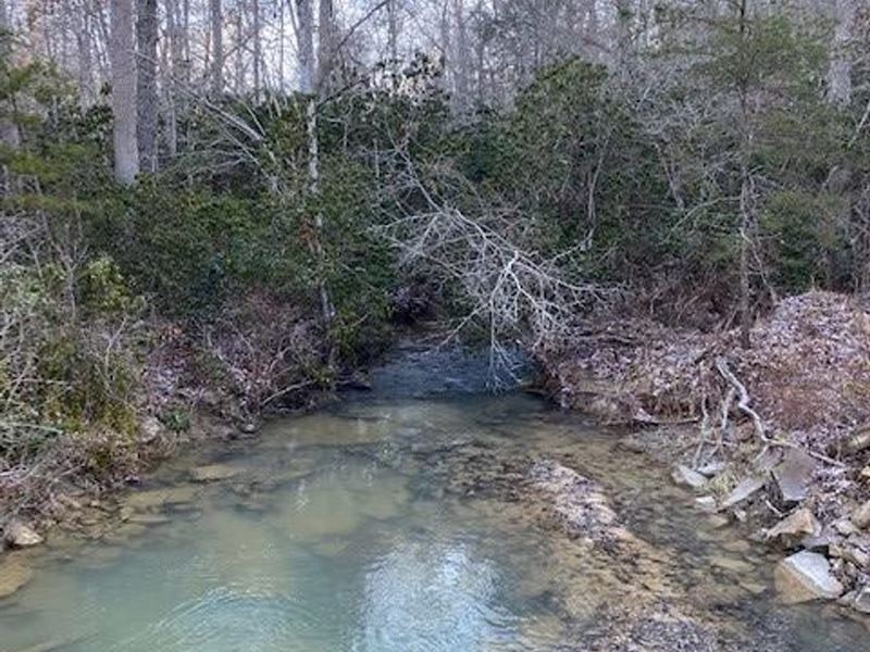 266.16 Acres Beautiful Property : Deer Lodge : Morgan County : Tennessee
