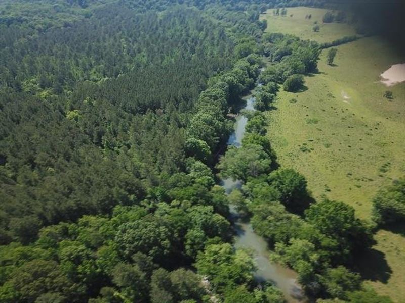 48.89 Acres River Front Property : Whitwell : Marion County : Tennessee