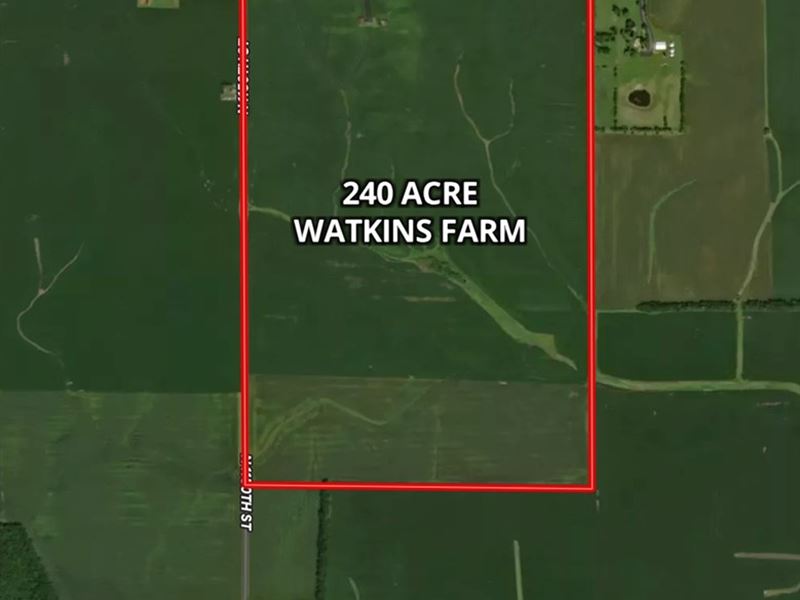 240 Acre Watkins Farm : Chrisman : Edgar County : Illinois